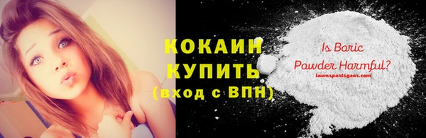 винт Мегион