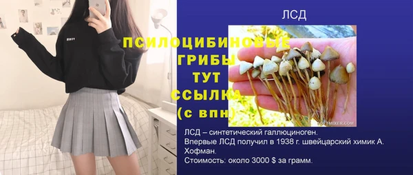 крисы Медногорск