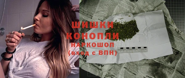 крисы Медногорск
