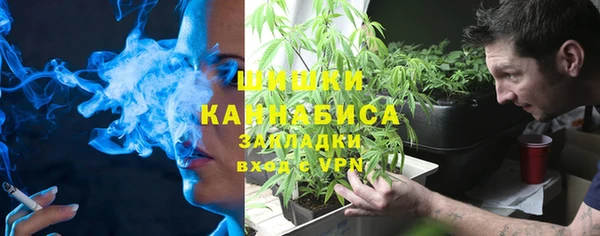 прущие крисы Болохово