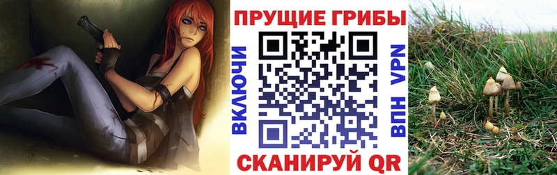 мориарти какой сайт  купить наркотик  omg ссылка  Мичуринск  Галлюциногенные грибы мухоморы 
